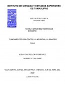 FUNDAMENTOS BIOLÓGICOS, LA NEURONA, LA SINAPSIS