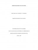 EJERCICIO DE PRÁCTICA DE COSTOS