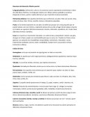 Resumen de Educación Plástica parcial