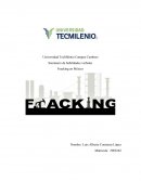 Seminario de habilidades verbales Fracking en México