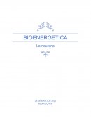 BIOENERGETICA La neurona