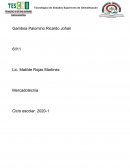 Estrategias de producto