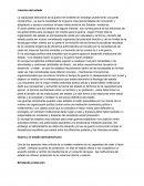 Creación del estado