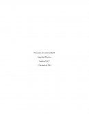 Seguridad electrica semana II IACC
