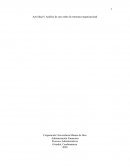 Análisis de caso sobre la estructura organizacional