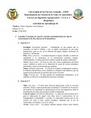 Ejemplos de plantas C3, C4 y CAM
