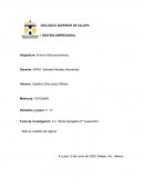 INDICE NACIONAL DE PRECIOS AL CONSUMIDOR- ENTORNO MONOCROMÁTICO