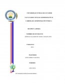 Tarea general politicas y teorias