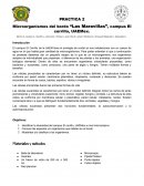 Microorganismos del bordo “Las Maravillas”, campus El cerrillo, UAEMex