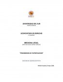 Putrefacción cadavérica: Características y signos del período enfisematoso