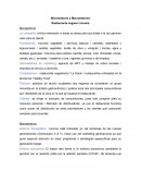 Microentorno y Macroentorno. Restaurante vegano Lúcuma