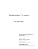 Sociología y cultura, no es natural
