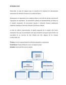 Planificación de taller Autoexpress