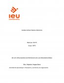 INTELIGENCIA ESTRATÉGICA EN LAS ORGANIZACIONES