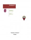 Ensayo “La importancia del Ser Humano”