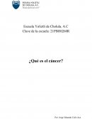 ¿Qué es el cáncer?