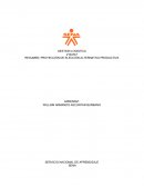 PROYECCIÓN DE ELECCIÓN ALTERNATIVA PRODUCTIVA