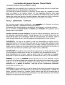 Los límites del género literario