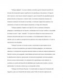 Trabajo Práctica docente