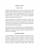 FILOSOFÍA Y LÓGICA