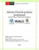 Informe Final de práctica profesional GRUPO MURILLO Y EMPRESAS RELACIONADAS
