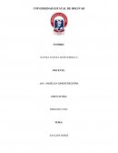 ANALISIS SOBRE LA TÉCNICA LEGISLATIVA EN EL PARLAMENTO ECUATORIANO