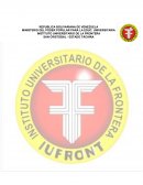 ANÁLISIS HORIZONTAL. COMPETENCIAS Y DESEMPEÑOS