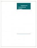 SINTESIS DEL LIBRO “MANUAL BASICO DE ELABORACION Y EVALUACION DE PROYECTOS “PAG. 76 A LA 108