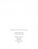 Comparativo Acciones penales, disciplinarias y administrativas