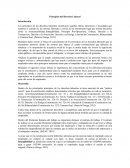 Principios del Derecho Laboral