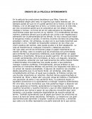 ENSAYO DE LA PELICULA INTENSAMENTE