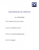 Clasificación de los vinos de burdeos