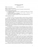 Problemas e Implicaciones para la investigación y la practica profesional