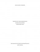 VINO DE GUAYABA Y MANDARINA