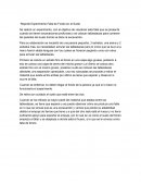 Reporte Experimento Falla de Fondo en el Suelo