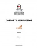 Costos y presupuestos PROM SA