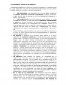 Características básicas de la Auditoría