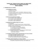 PARTES DEL TRABAJO ESCALONADO DE HIDROLOGÍA EN RELACIÓN A SU CUENCA EN ESTUDIO