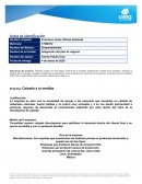 Emprendimiento. Integración del plan de negocio