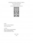 La Calidad Educativa en el Perú