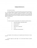 Trabajo práctico de sujeto