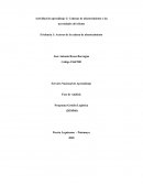 Actores de la cadena de abastecimiento. Empresa Ramo
