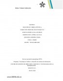 Relato: Trabajo Colaborativo