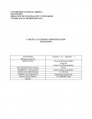 CARATULA ACTIVIDAD CURSO INICIACIÓN POSTGRADO