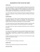 DIAGNOSTICO POR COLOR DE HUMO