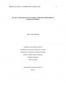 ¿Por qué es importante que los licenciados en educación infantil adquieran competencias digitales?
