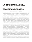 LA IMPORTANCIA DE SEGURIDAD DE DATOS