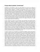 Ensayo sobre la película “Laundromat”