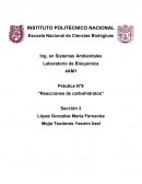 PRACTICA 8 REACCIÓN DE CARBOHIDRATOS