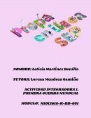 Actividad Integradora 1 Primera Guerra Mundial